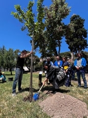 La Cónsul General con una pala durante la plantada del cerezo Kanzan