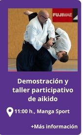 Aikido, sábado 6 de diciembre,, 11:00 horas, en Manga Sport